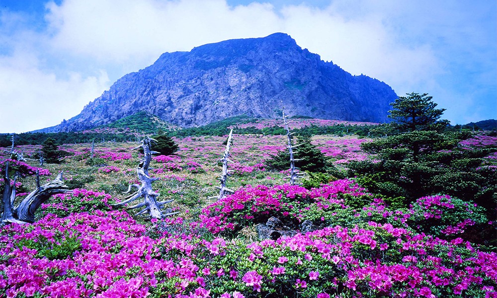 Jeju Island 01